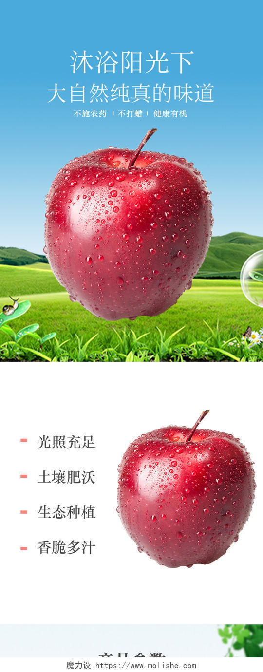 简约大气草地阳光下的苹果生鲜水果电商促销详情页